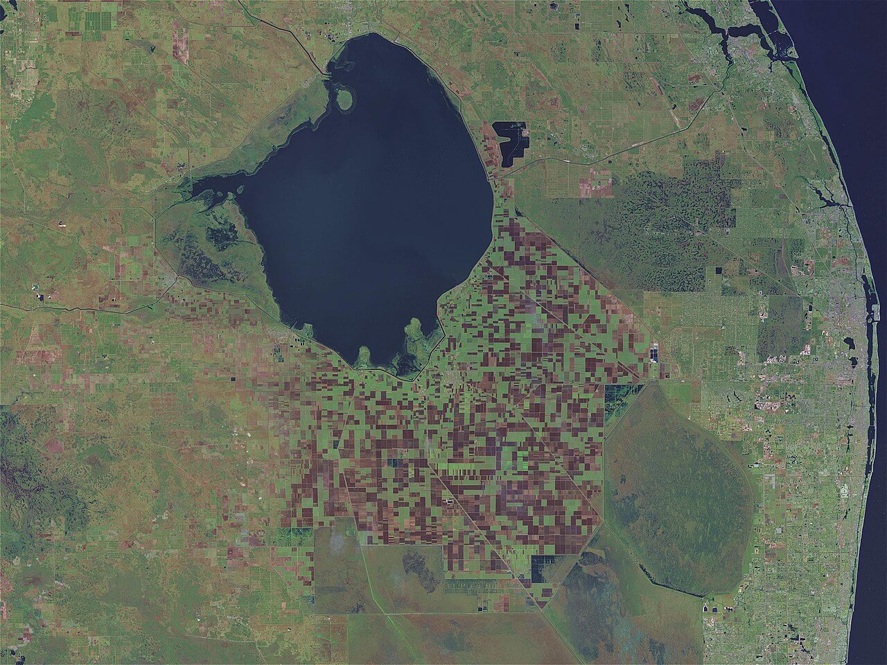 Lake Okeechobee photographed from space in 2024.
