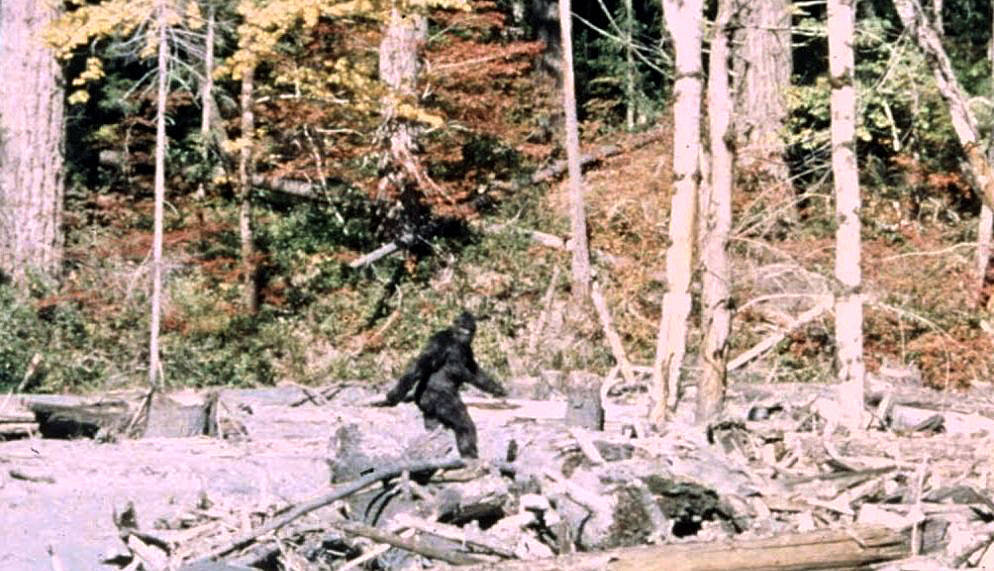 Artist's depiction of Sasquatch in a forest.