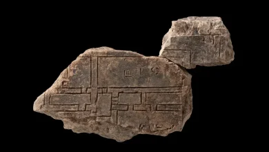 Ancient Sumerian clay tablet with cuneiform writing