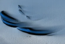 Sand dune-shaped ice structures beneath the Dotson Ice Shelf