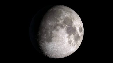 Earth and the Moon viewed from space