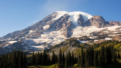 Snow and ice covering Mount Rainier in Washington