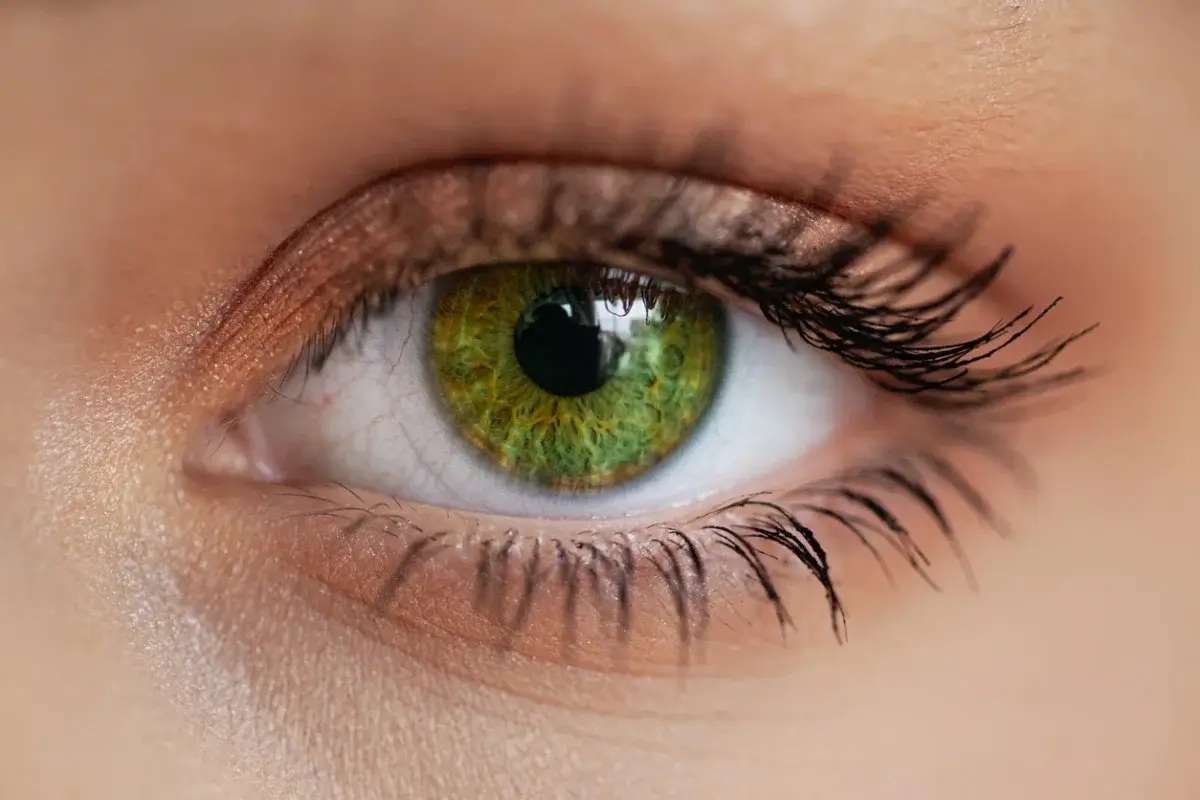 Close-up of green eyes