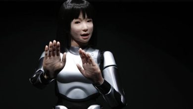 Japanese female humanoid robot
