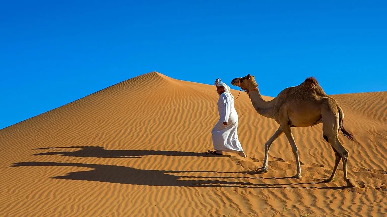 Man walking with a camel in the Saudi Arabian desert