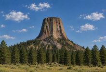 Devils Tower rising above a pine forest and grassy meadow under a blue sky with scattered clouds.